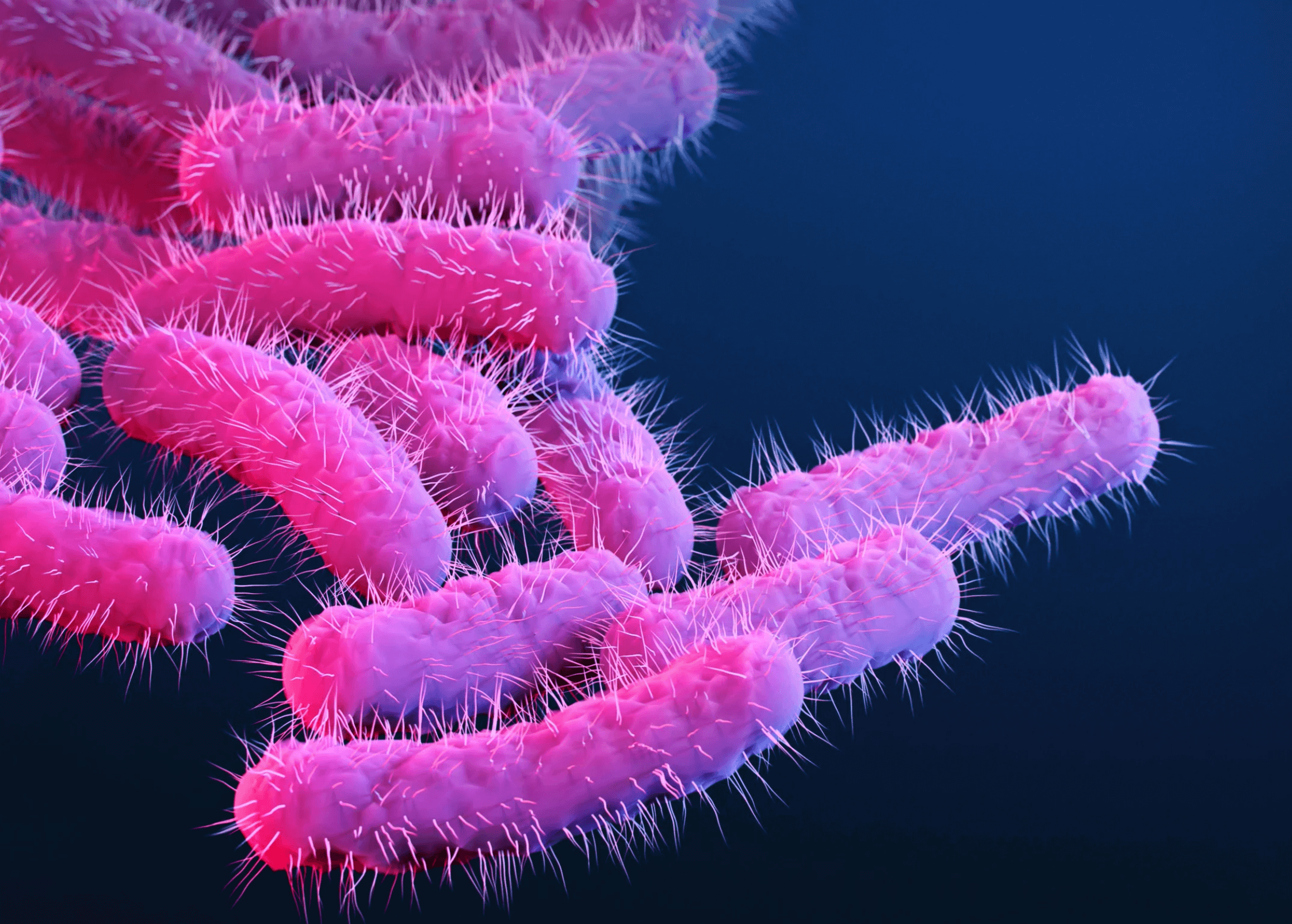 Die verkannten Helden: Bakterien und das Mikrobiom - Eine neue Perspektive auf unsere Gesundheit