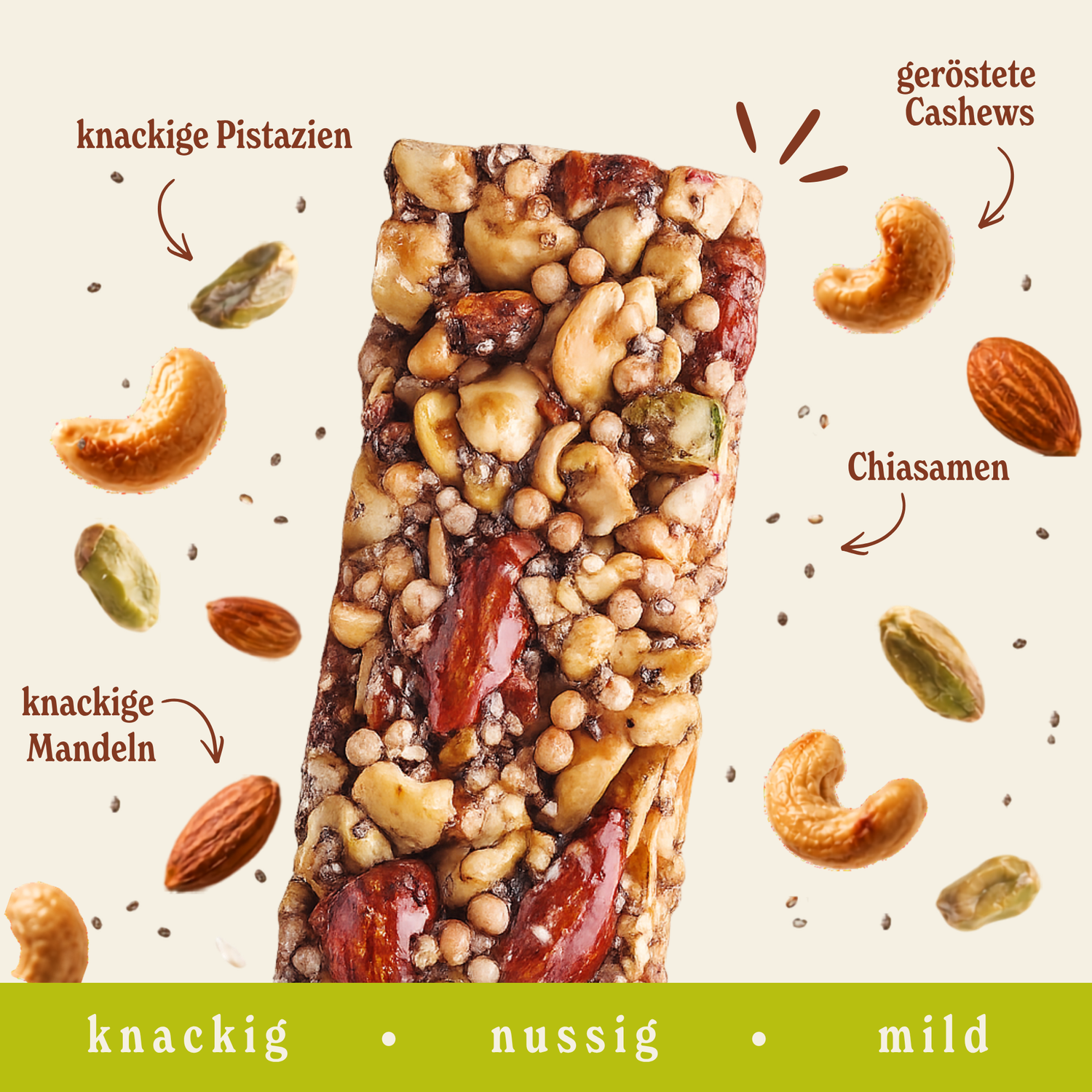 Nussriegel Probier-Box