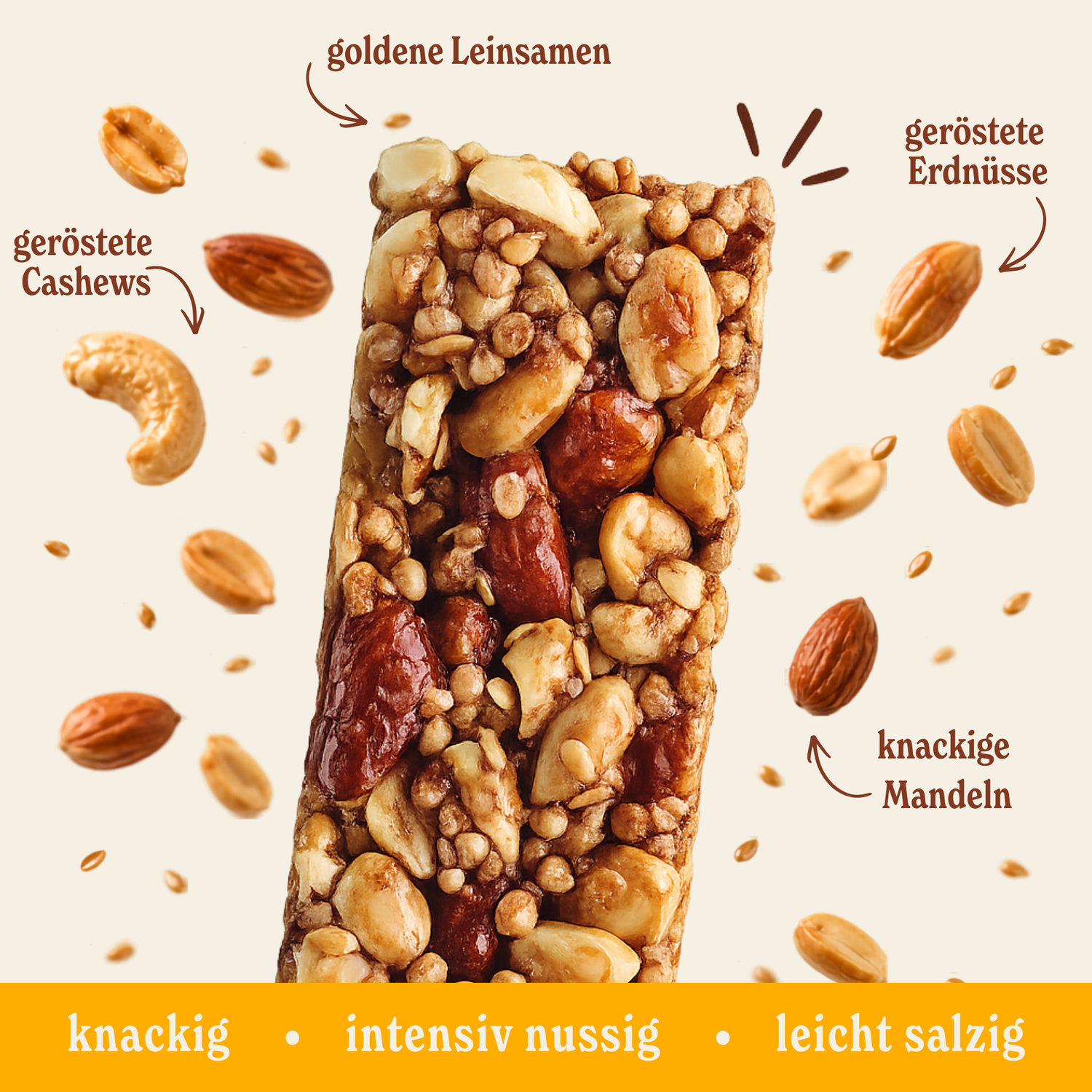 Nussriegel Probier-Box