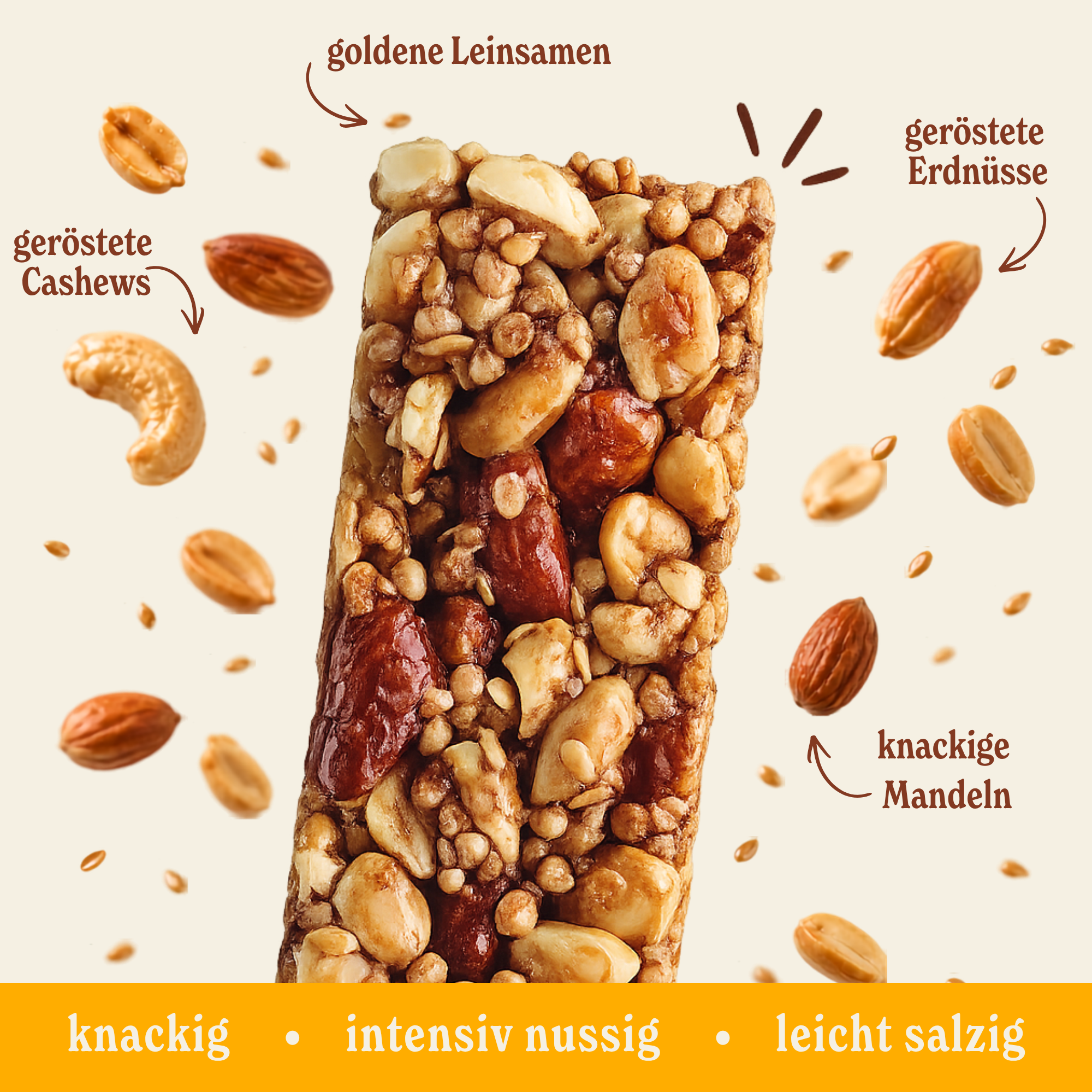 Nussriegel Probier-Box