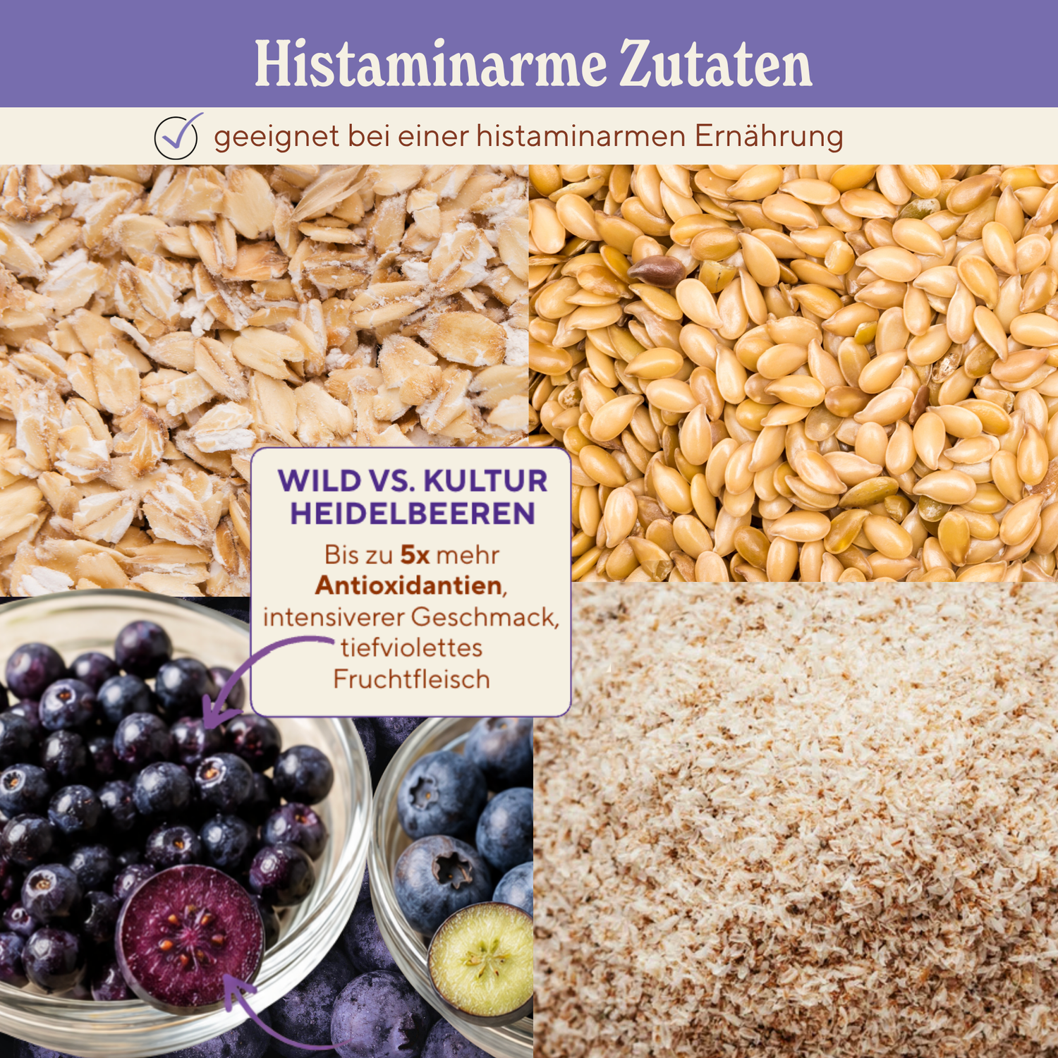 Crunchy Oats Wild Blueberry