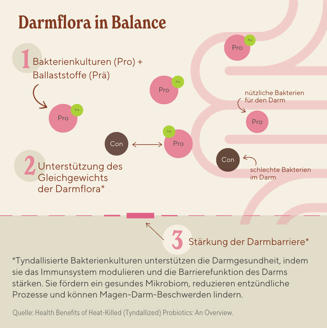 in balance bundle