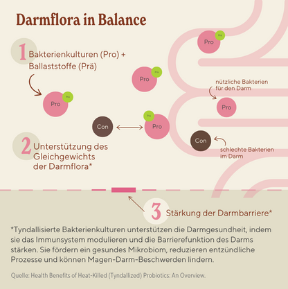 in balance bundle