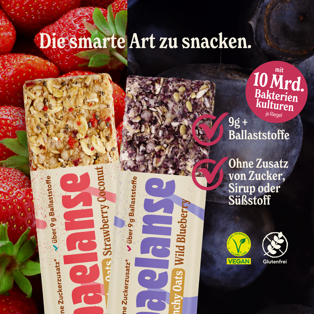 Crunchy Oats Bundle