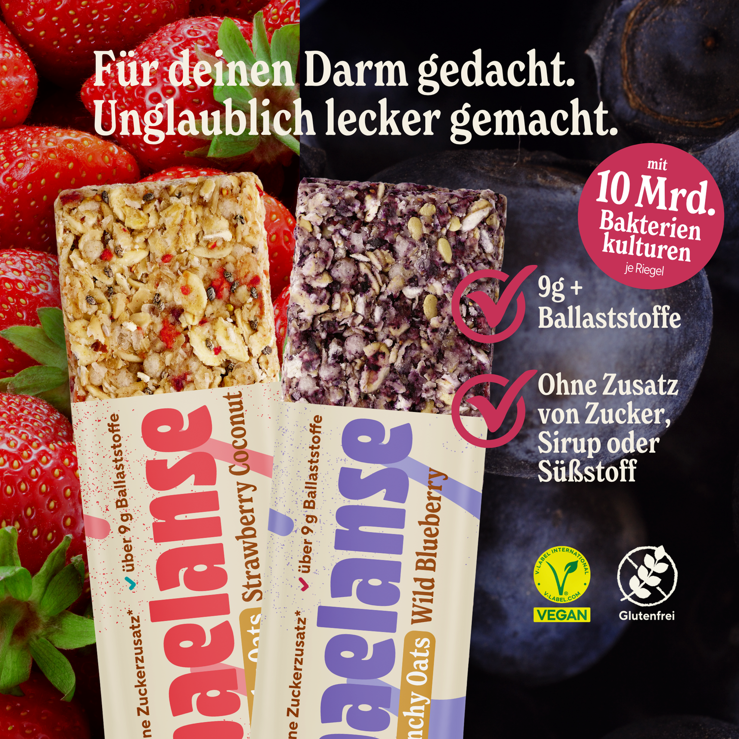 Crunchy Oats Bundle